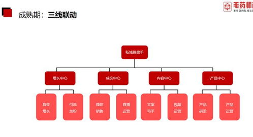 毛药师 为什么要成立私域团队